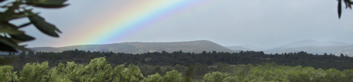 Dr Céline Palussière