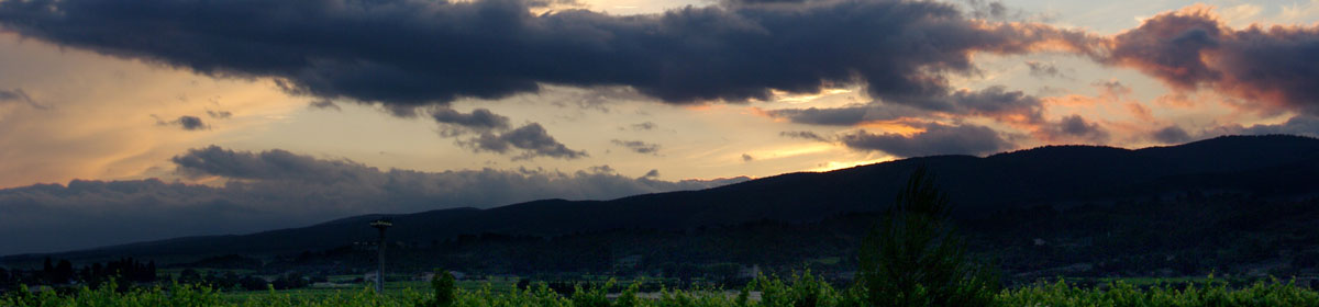 Dr Céline Palussière